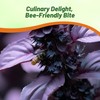 Outsidepride Dark Opal Basil Seeds – 1000 Pieces Annual Purple