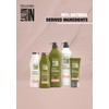 Salon In Recamier Green Forest Deep Moisturizing Conditioner for Dry