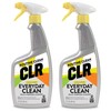 CLR Everyday Clean Multi Purpose Cleaner, Clean Lemon, 22 Ounce