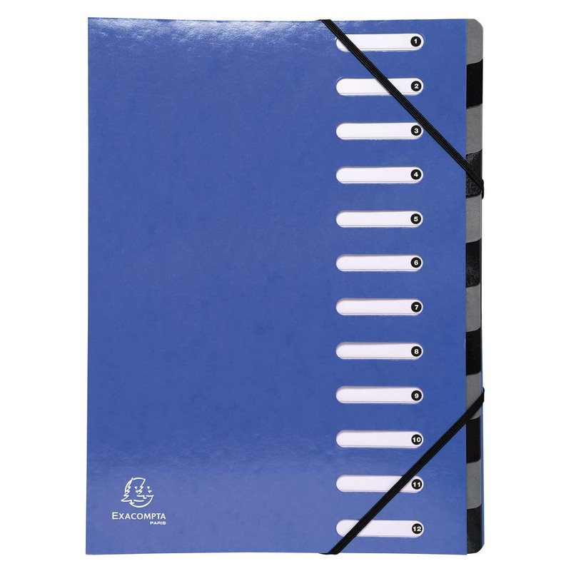 Exacompta Harmonika 12 Compartment Folder with Dividers - Assorted