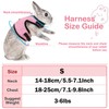 Pack of 2 Rabbit Leads, Blue & Pink, Adjustable Rabbit