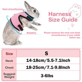 Pack of 2 Rabbit Leads, Blue & Pink, Adjustable Rabbit Lead, Elastic Rabbit Harness, Rabbit Harness with Lead for Small Animals, Rabbit Accessories