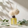 Aronica Twin Sola Diffuser 160ml_Eucalyptus and Bergamot Essential Oil Flower