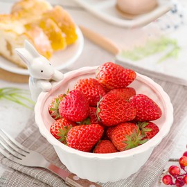 LIDSCURA Easter Rabbit Bowl, White Pink Double Rabbit Bowl, For Serving Salad, Noodles, Soup and Rice, Cute Cartoon Rabbit-Shaped Ceramic Bowl for Birthday Family Table Decoration