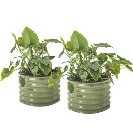 Vego garden 17" Tall Herb Garden 24" Wide - Twin Pack