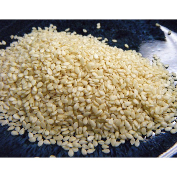 White Sesame Seeds in a 5 lb. Bag - KOSHER