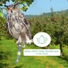 Lifreer Bird Scarers for Gardens, 5PCS Owl Shape Reflective Deterrents