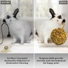 SunGrow Seagrass Balls for Rabbit, for Pet’s Gums & Teeth,