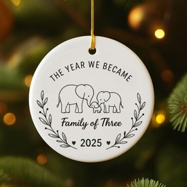 2025 Family of Three Christmas Ornament, Baby's First Christmas Keepsake, Family of 3 Christmas Tree Ornament, In 2025 We Become A Family Of Three Keepsake, 3"