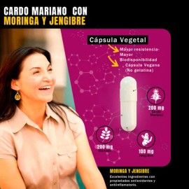 NSN Milk Thistle con Cardo Mariano Moringa Jengibre Alcachofa Achicoria Antioxidante Higado Graso 120 Cápsulas 60 Dias