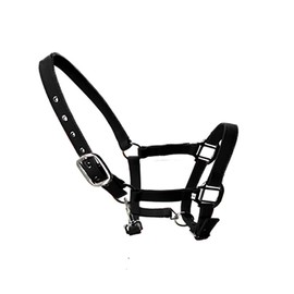 tooloflife Adjustable Horse Print Padded Nylon Headcollar for Foal Pony Donkey Black