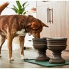 Pet Junkie Summit Single Elevated Dog Bowl for Dry Food