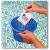 CuLator Metal Eliminator and Stain Preventer for Pools & Spas--3