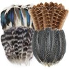 40pcs Natural Pheasant Feathers, Spotted Feathers, Turkey Feathers, 4 Styles