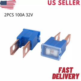 Unbranded 2Pcs Auto Car 100A 32V Male PAL 2 Straight Blade Slow Blow Fuse Blue US STOCK