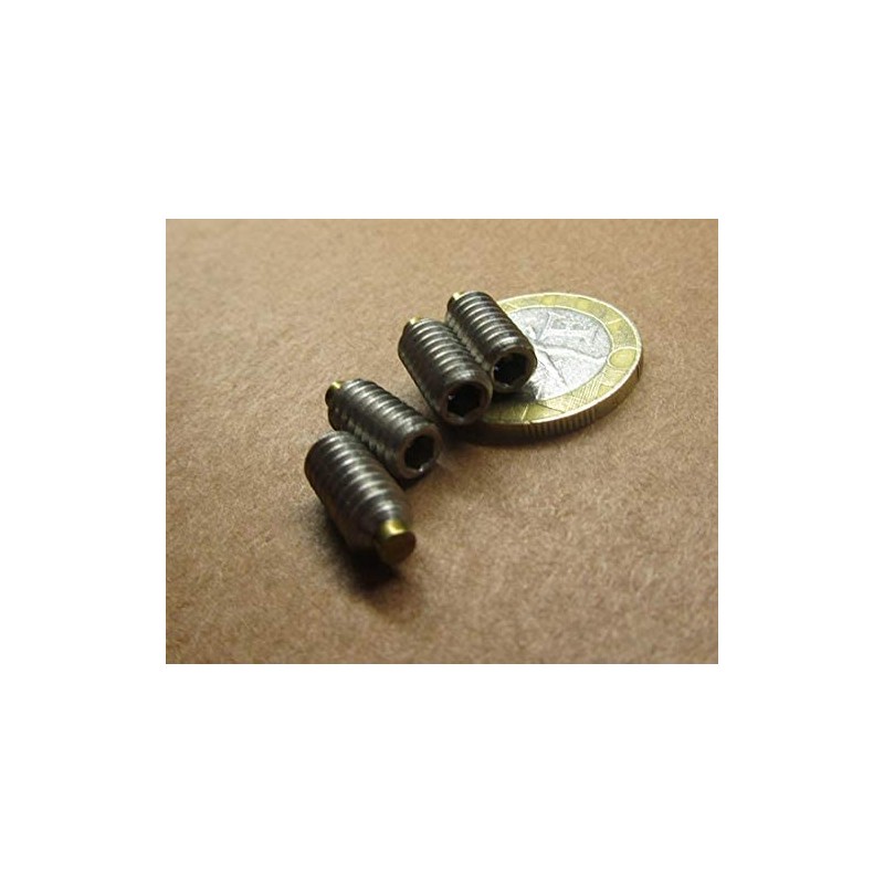 18-8 Stainless Steel Brass Tip Set Screw 1/4"-20 x .500"