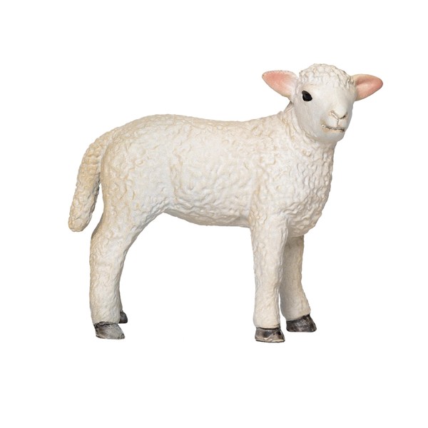 MOJO Romney Sheep Lamb Standing Farmlife Farmland Wildlife Animal Model