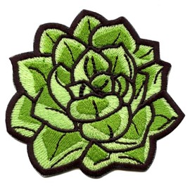 Succulent Plant Patch Aloe Embroidered Iron On