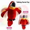 Shengruili Talking Parrot Toy, Talking Plush Bird Parrot, Parrot Bird