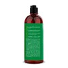 The Botanist Shampoo Bergamot + Basil 591 ml