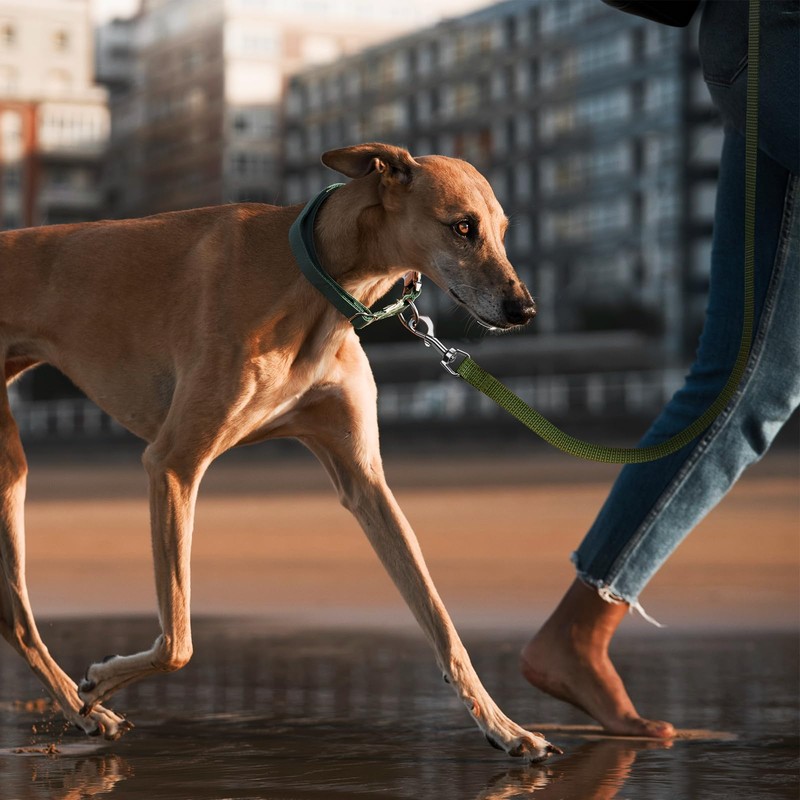 Wolfone Army Green 10m Long Line Dog Lead Strong Nylon