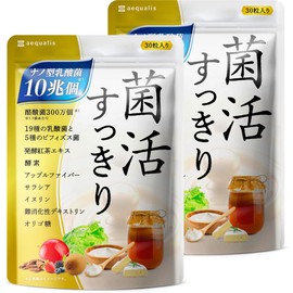 【2袋セット】菌活すっきり 乳酸菌 サプリメント ナノ乳酸菌10兆個 ビフィズス菌 酪酸菌 プロバイオティクス
