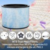 BLUTENET AP200 Replacement Filter for Instant AP200 Air Purifier, 3