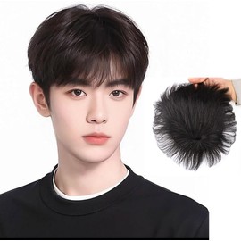 RemeeHi Men's Wig, Short, Medical Wig, Human Hair, Machine Made/Hand-planted Cap, Pulled Cap, Natural Black, Top Cover, Conceals Gray Hair, Pointed Wig, Partial Wig, For Men