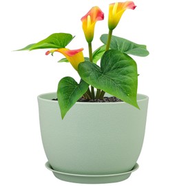 Meowell 12 inch Big Plant Pots, Plastic Planters with Drainage Holes and Trays, Flower Pots for Indoor Outdoor Plants, Modern Decorative Pots for Garden House Plants, Green