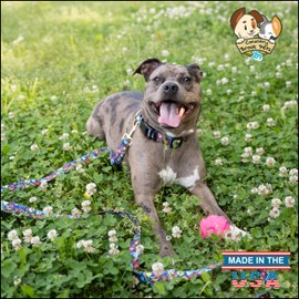 Country Brook Petz - Deluxe Dog Collar - for Durability, Comfort & Style - Vibrant Floral Collection with Charming Design - Potpourri, Large