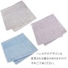Osaka Choseido Folding Fan, Men's, Stylish, Business, Folding Bag, Handkerchief