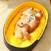 Pet Nest Bed Large Space Soft Comfortable Warm Pet Sleeping