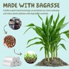 Small Compost Bags 1.2 Gallon Mini Trash Bags 125 Count,