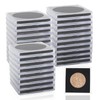 RobLuX Pack of 30 Transparent Coin Cases in 5 Different