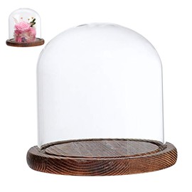 Glass Dome with Base Transparent 3.5x4.7inch Dustproof Retro Glass Display Dome Home Tabletop Coffee Shop Glass Cloche Glass Dome with Base Glass Display Dome for Fake Flower Doll Figurine