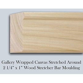 Madonna and Child and The Young St John The Baptist 20x24 Gallery Wrapped Stretched Canvas Art by Sandro Botticelli