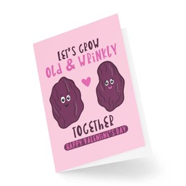 Funny Valentine's Day Card - Let's Grow Old & Wrinkly Together Raisins - Husband Wife Cards - Valentines - Girlfriend Boyfriend - CBH1462