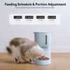 Automatic Cat Feeder and Water Dispenser FW1, Wire or Battery