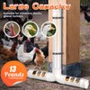 KHEARPSL Automatic Chicken Feeder No Waste 13lbs Duty PVC Gravity