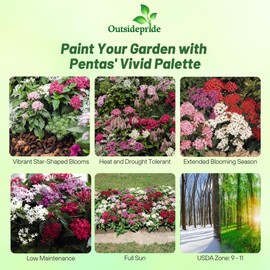 Outsidepride Mix Pentas Seeds - 25 Pcs Perennial Flower Seeds for Planting with Nectar-Rich, Star-Shaped Blooms Attractive to Butterflies & Hummingbirds, for Containers & Garden Borders