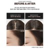 BDI BOB W Quick Hair Cushion (7g) Color / 비디보브