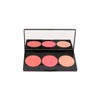 Smashbox L.A. LIGHTS Blush & Highlight PALETTE ~ CULVER CITY
