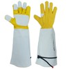 GLOSAV Cactus Gloves, Thorn Proof Gardening Gloves for Rose Pruning