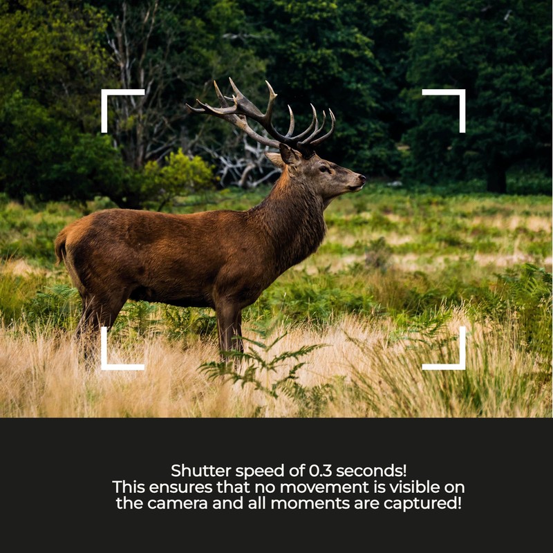 Denver WCL-8040 Wildlife Camera