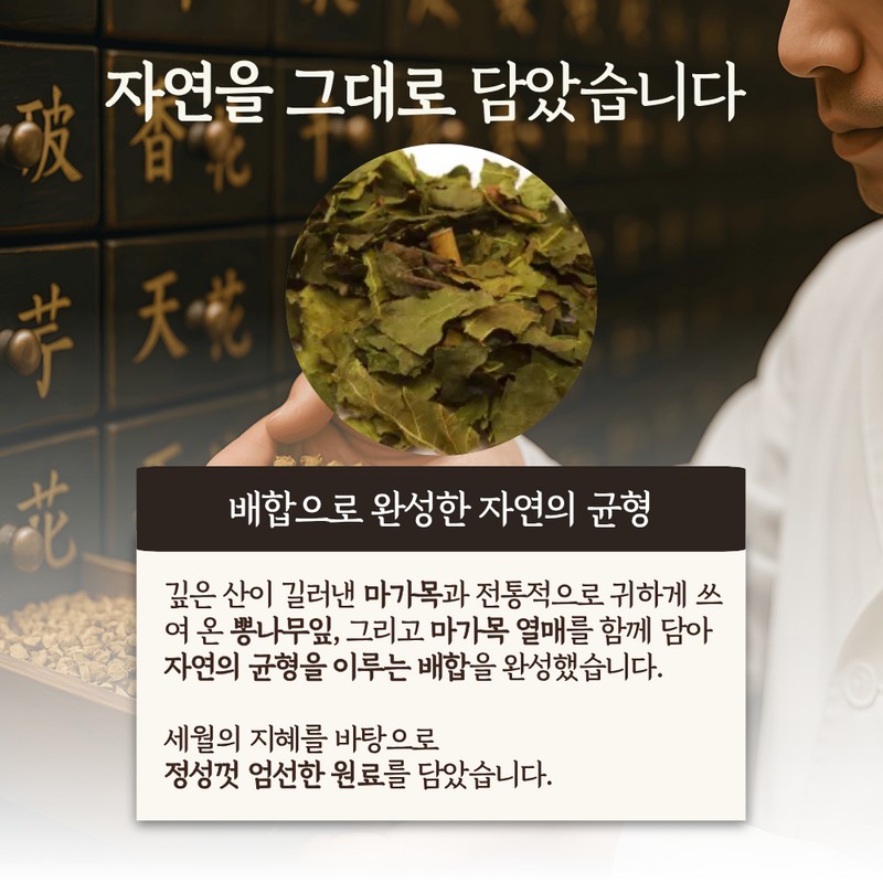 Domestic Maengmaek Fruit Tea - 100% Korean Tea Bags, Pack