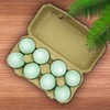 Duck Egg Cartons Large 14 Pack, Blank Natural Pulp One