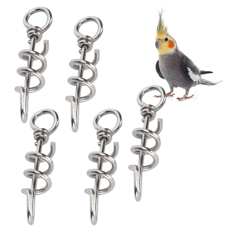 5 Pcs Bird Parrots Foot Ring Buckle Stainless Steel Foot