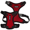 Voyager Step-in Lock Pet Harness - All Weather Mesh, Adjustable