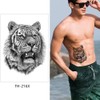 Lion Tattoos Arm Tattoos Fake Tattoos Festival Tattoos Lion Tattoos