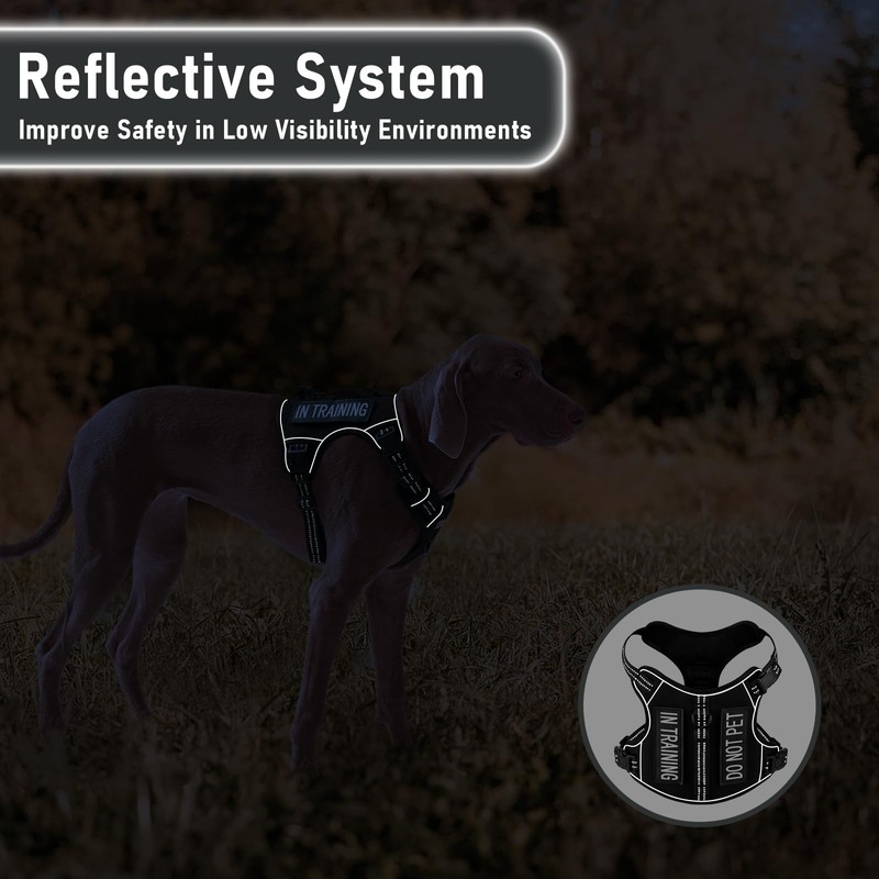Tactical Dog Harness Medium Sized Dog, No Pull Pet Harness,